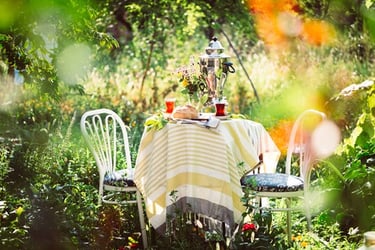 pickwick forest fruits recipe