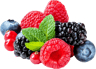 pickwick forest fruits